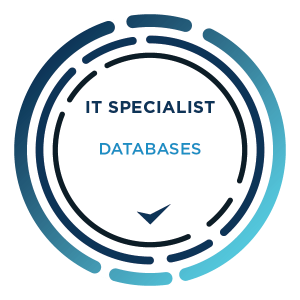 ITS - DATABASES